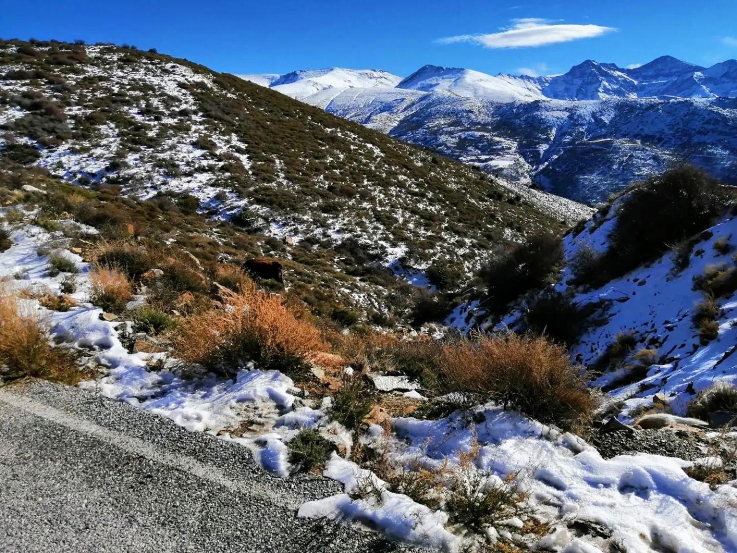 Apartamentos Sierra Nevada Park Güéjar Sierra Kültér fotó