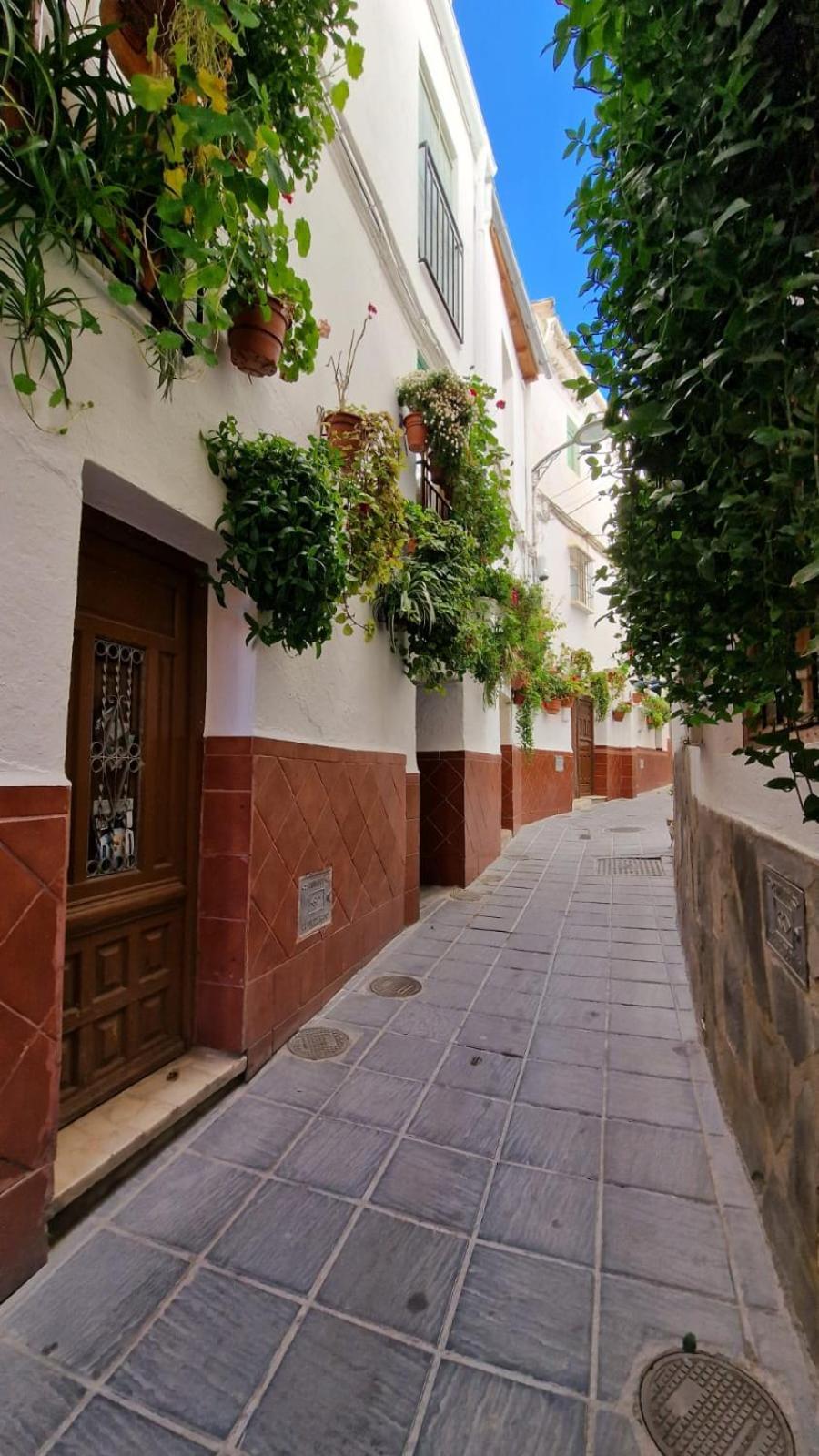 Apartamentos Sierra Nevada Park Güéjar Sierra Kültér fotó
